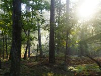 2016-10-09 Les gorges d Apremont 0013